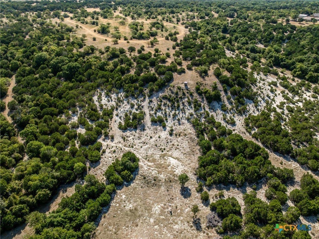 298 acres in Coryell County - photo 46