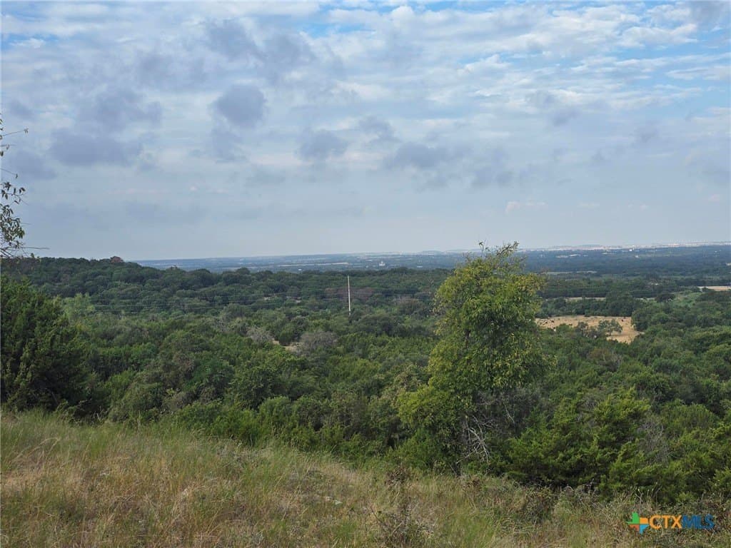 298 acres in Coryell County - photo 8