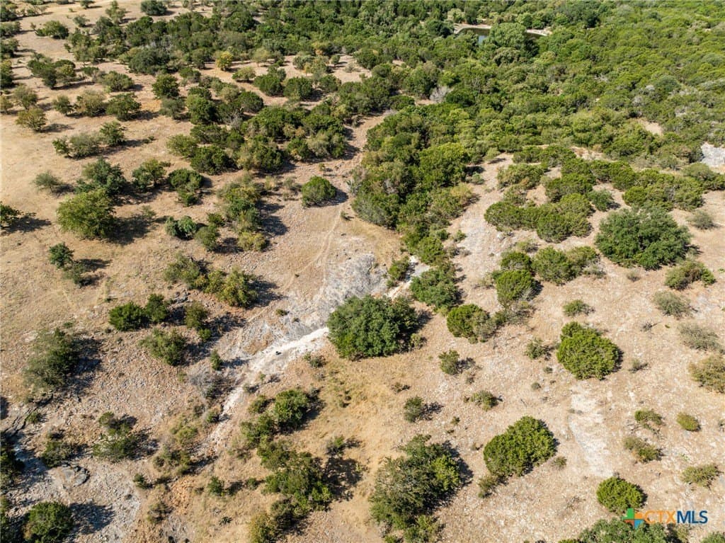 298 acres in Coryell County - photo 22