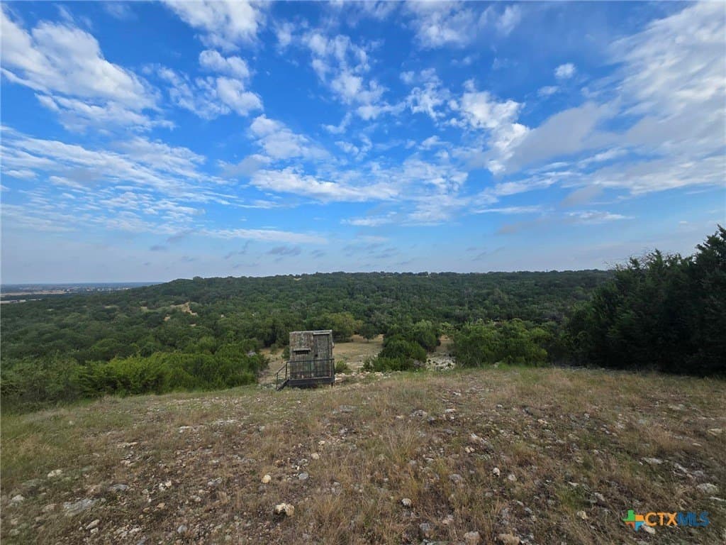 298 acres in Coryell County - photo 6