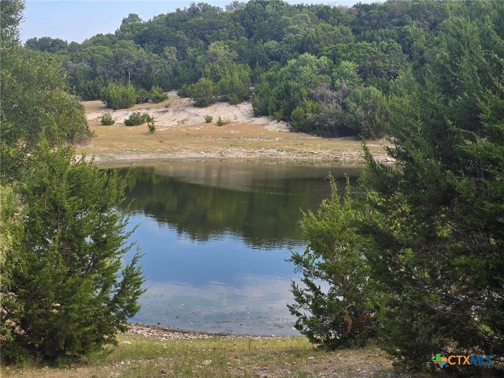 298 acres in Coryell County - photo 9