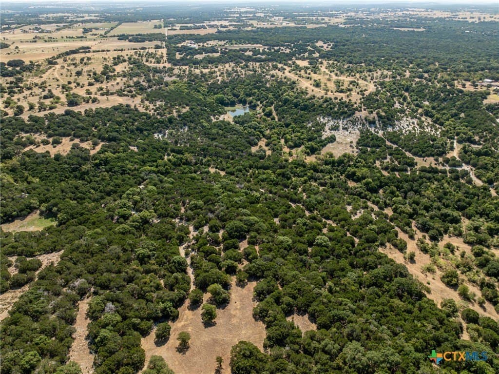 298 acres in Coryell County - photo 4