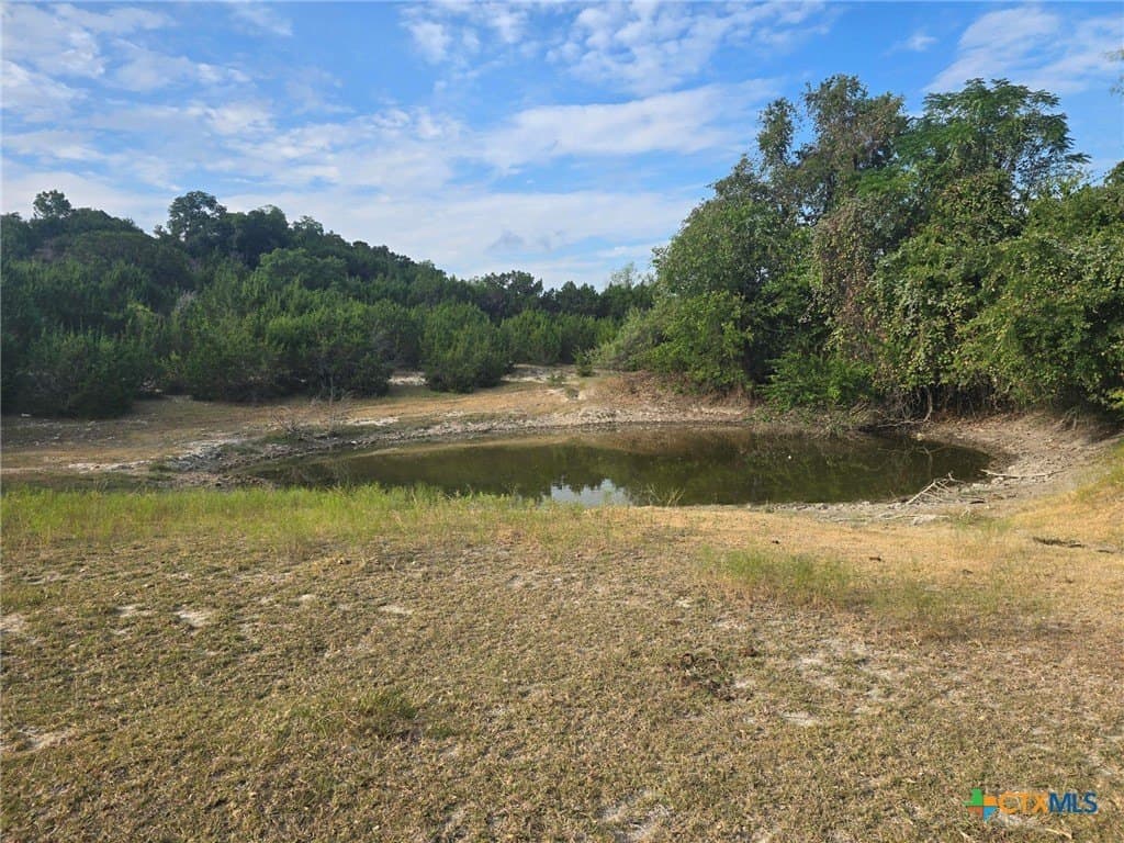 298 acres in Coryell County - photo 13