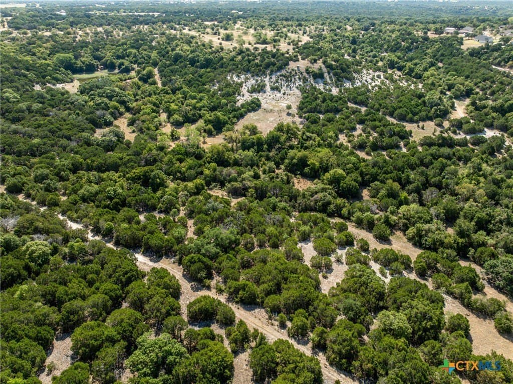 298 acres in Coryell County - photo 48