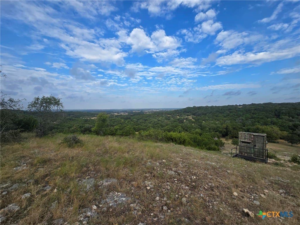 298 acres in Coryell County - photo 5