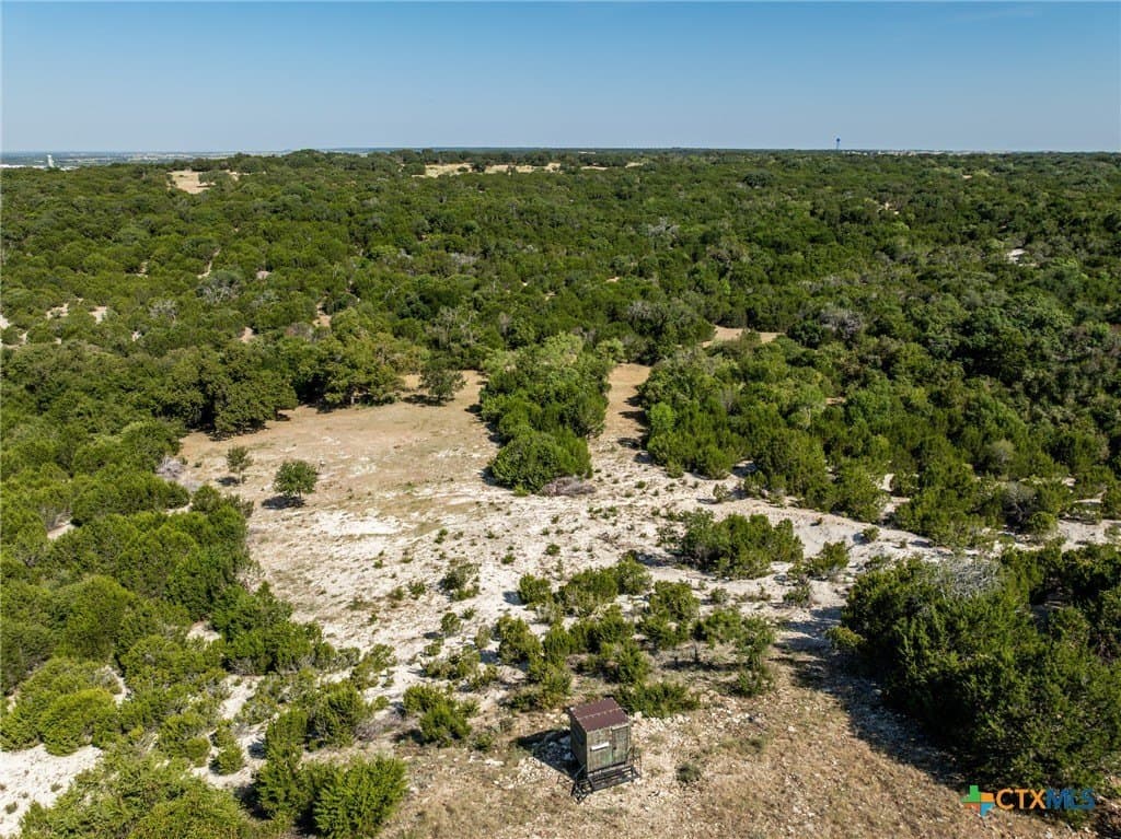 298 acres in Coryell County - photo 43