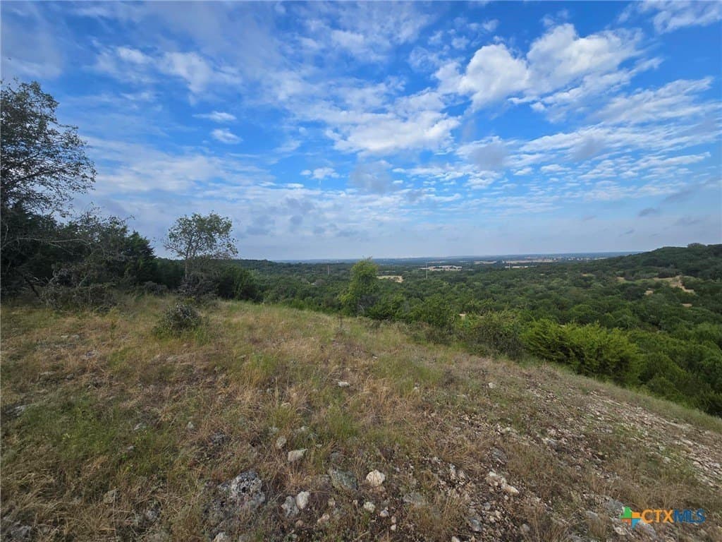 298 acres in Coryell County - photo 7
