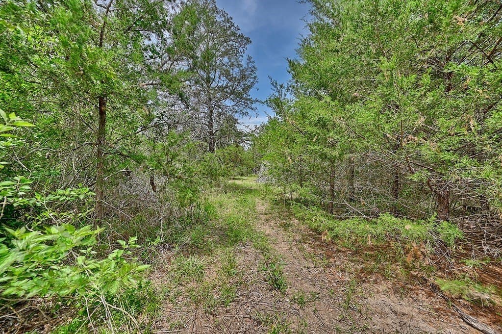 4 acres in Burleson County - photo 12