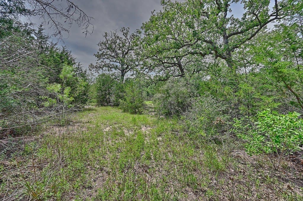 4 acres in Burleson County - photo 18