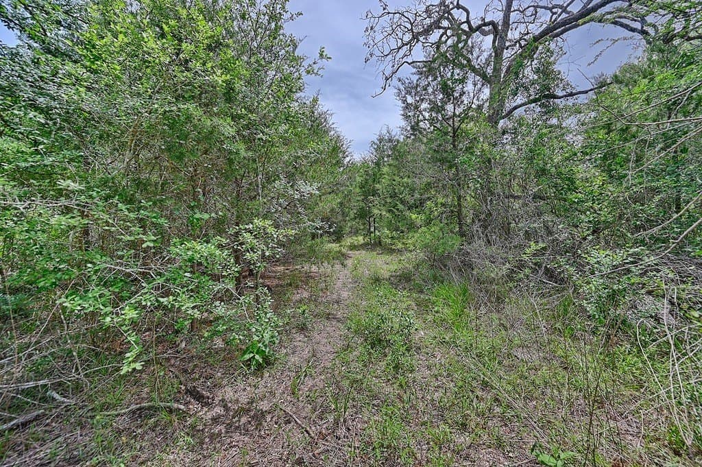 4 acres in Burleson County - photo 11