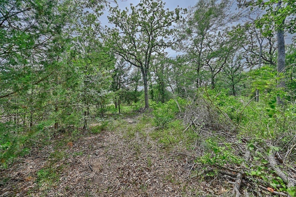 4 acres in Burleson County - photo 23