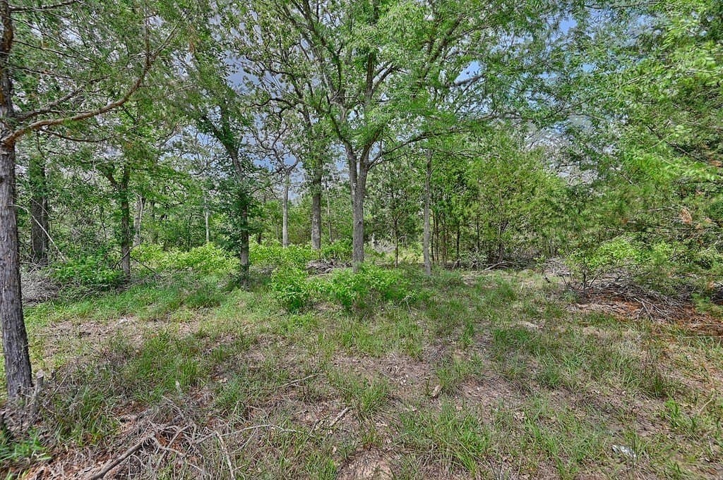 4 acres in Burleson County - photo 25