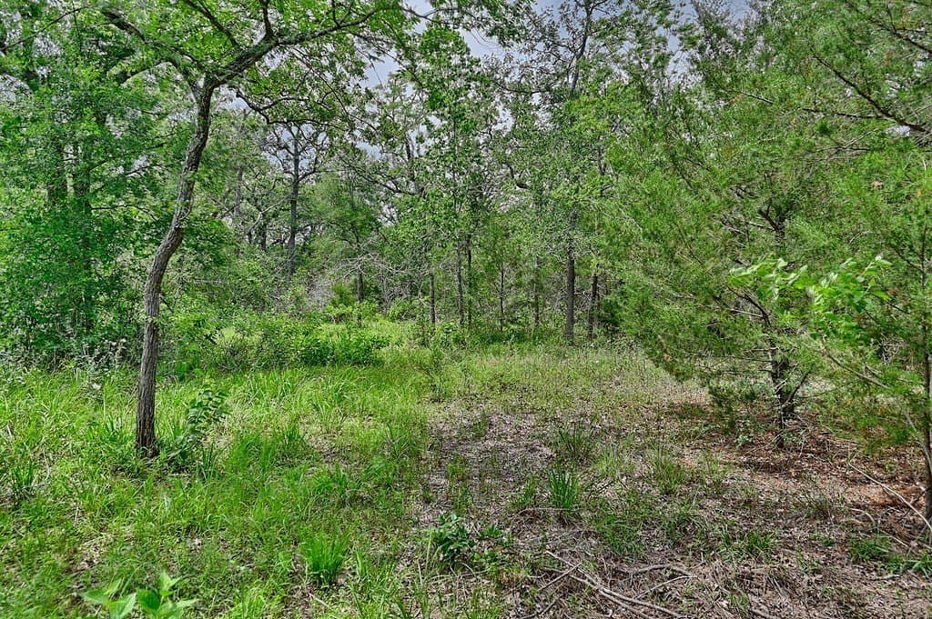 4 acres in Burleson County - photo 22