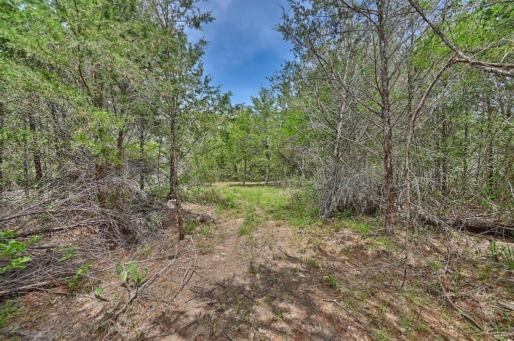 4 acres in Burleson County - photo 13