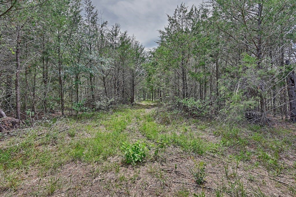 4 acres in Burleson County - photo 16