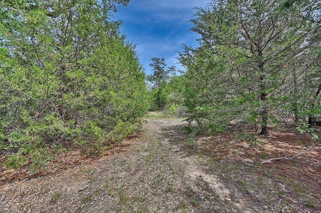 4 acres in Burleson County - photo 17