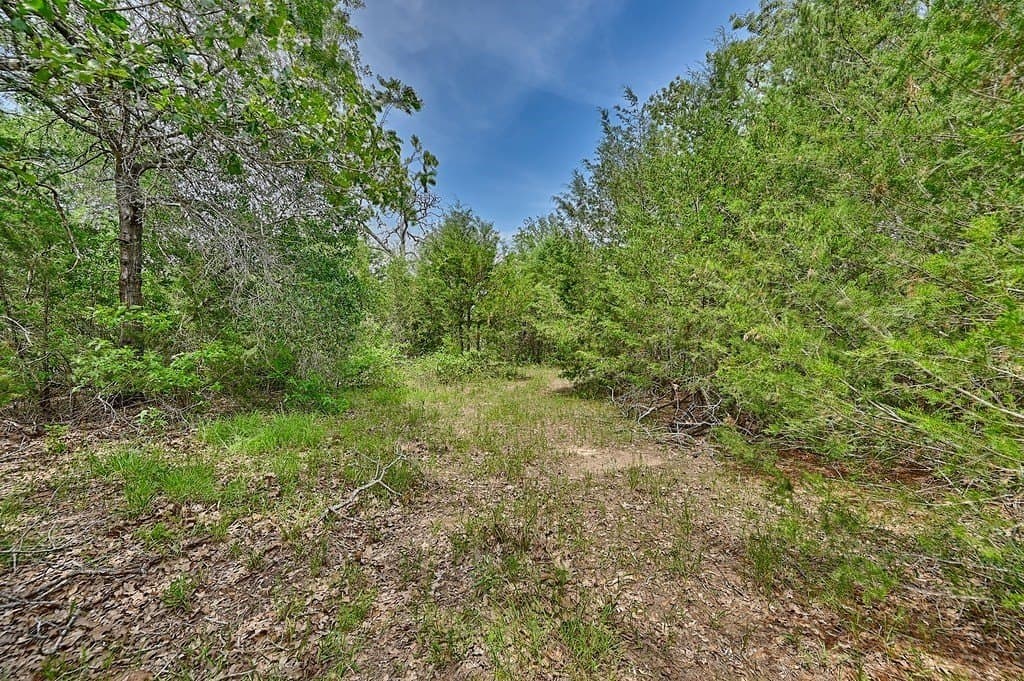 4 acres in Burleson County - photo 24