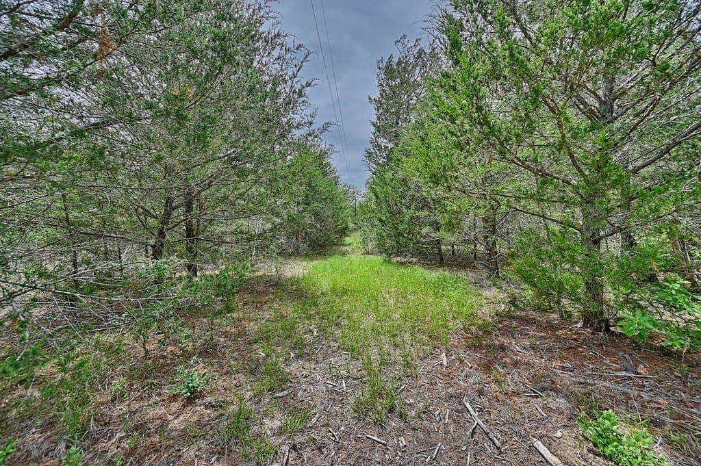 4 acres in Burleson County - photo 20