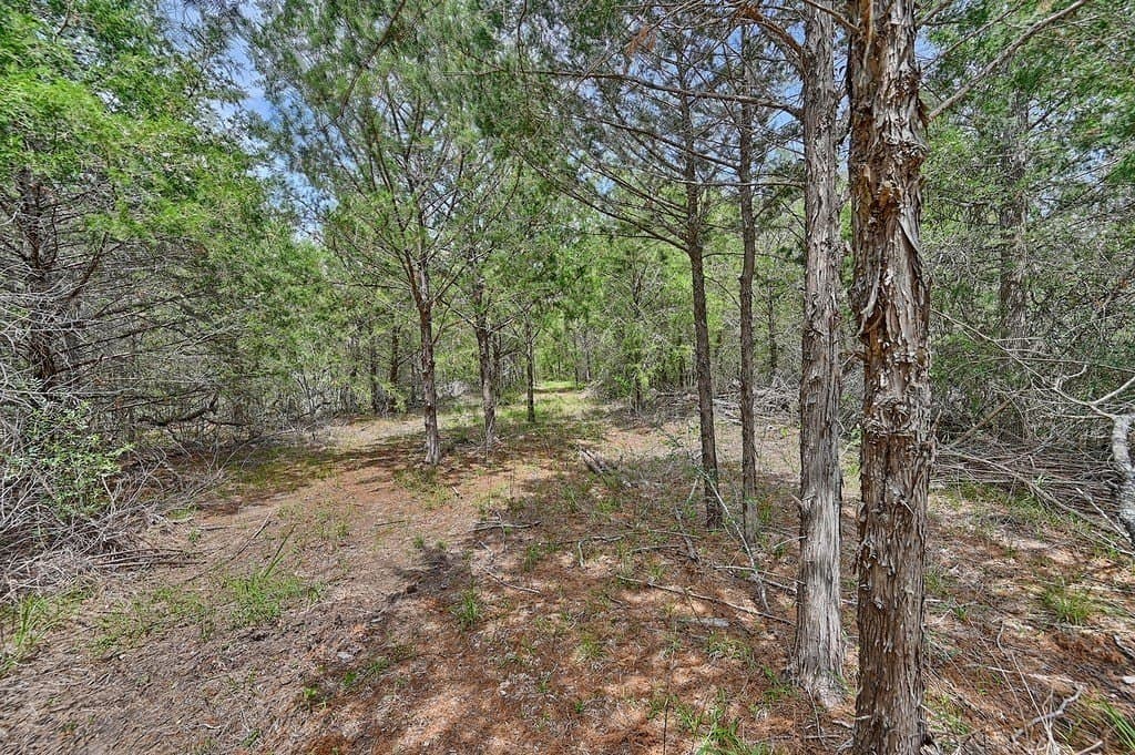 4 acres in Burleson County - photo 15