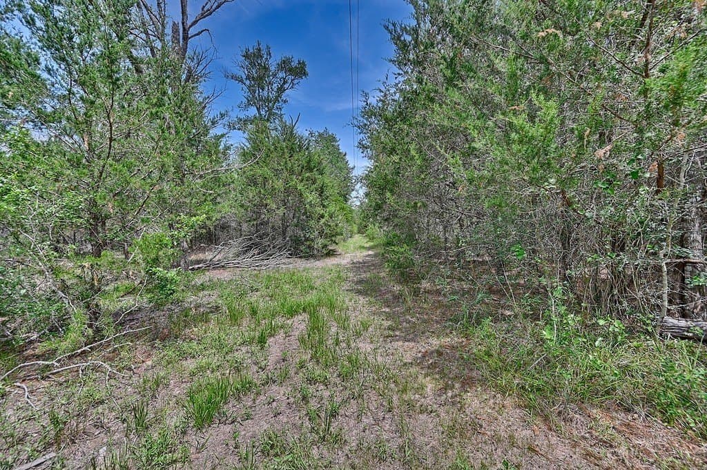 4 acres in Burleson County - photo 19