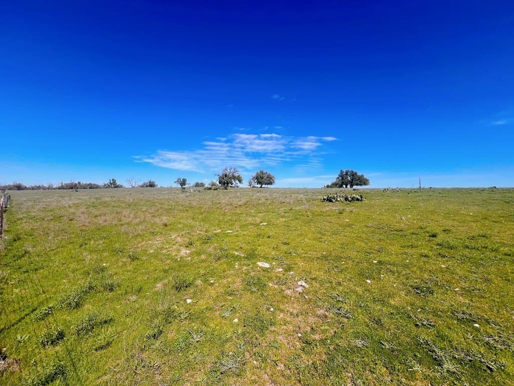 14.35 acres in Gillespie County gallery image 2