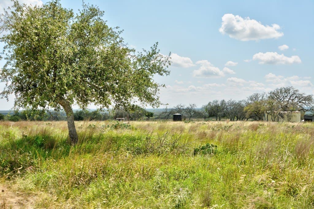 17.72 acres in Kimble County featured view