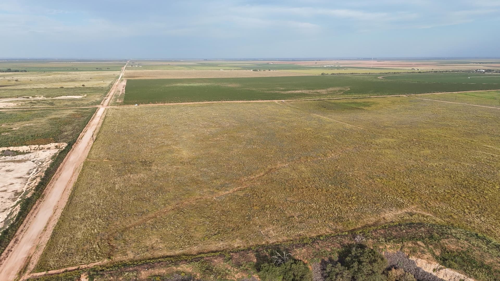 22.84 acres in Terry County gallery image 4