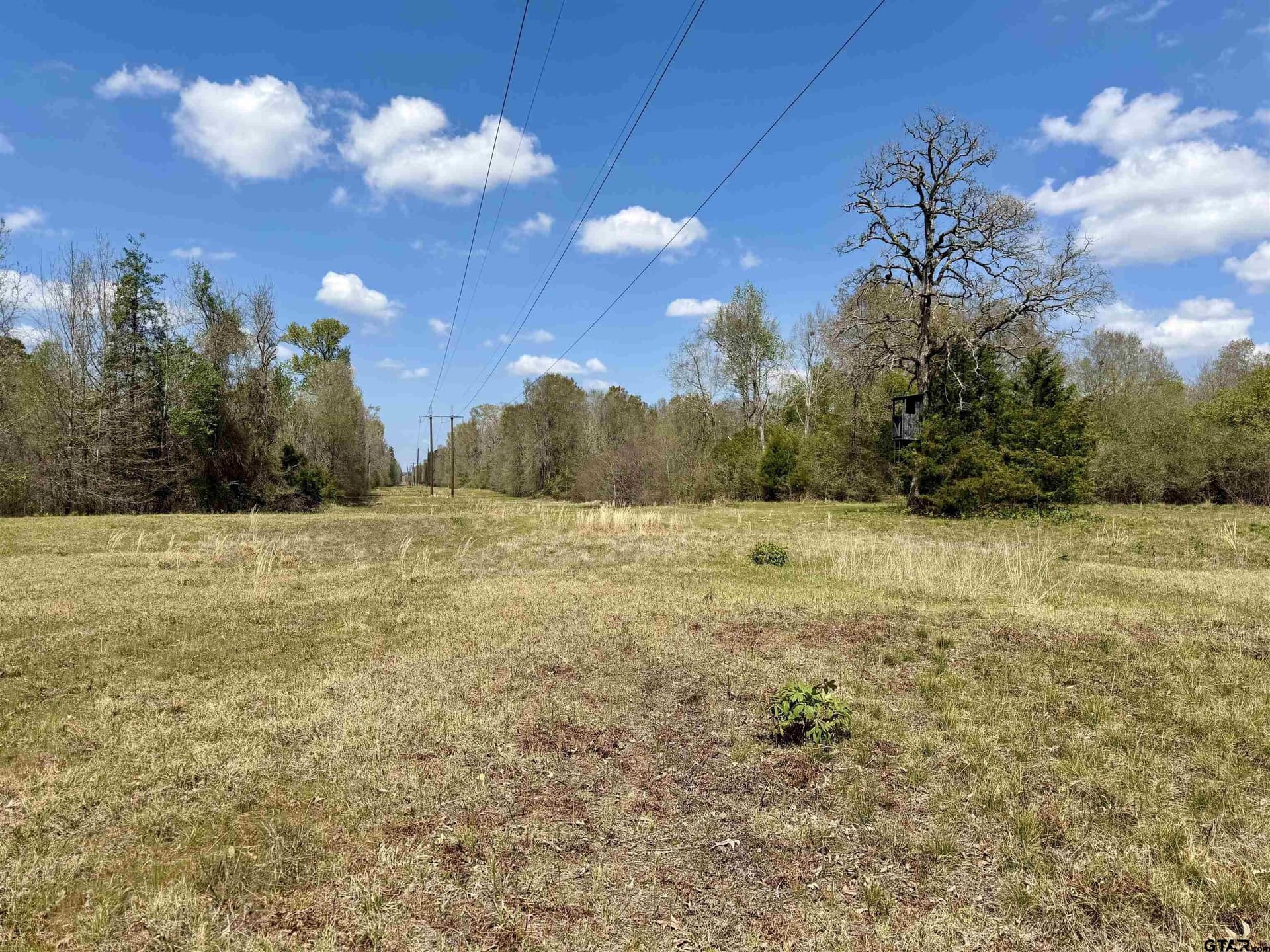159.7 acres in Harrison County - photo 30