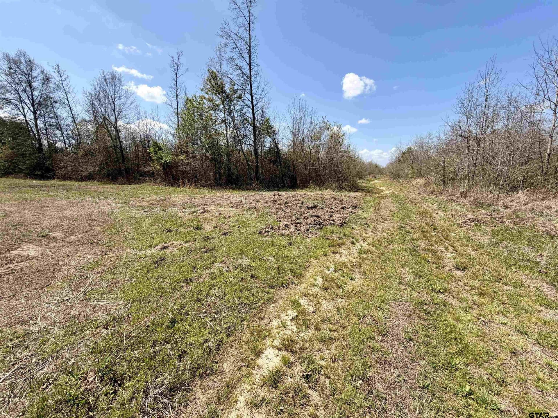159.7 acres in Harrison County - photo 20