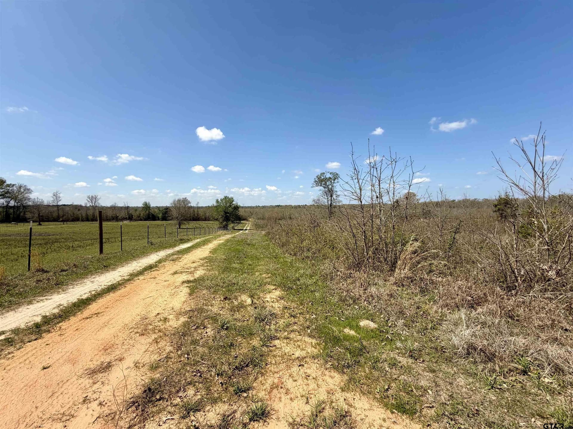 159.7 acres in Harrison County - photo 19
