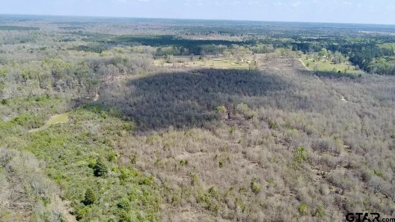 159.7 acres in Harrison County - photo 13