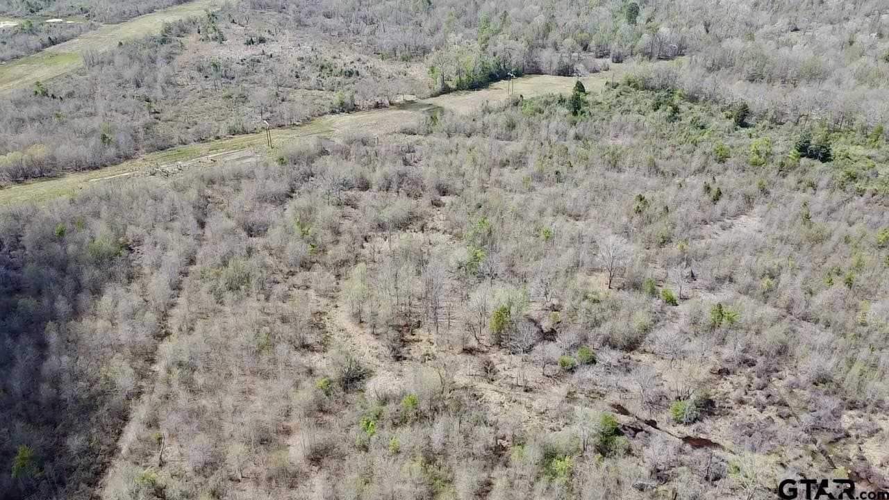 159.7 acres in Harrison County - photo 7