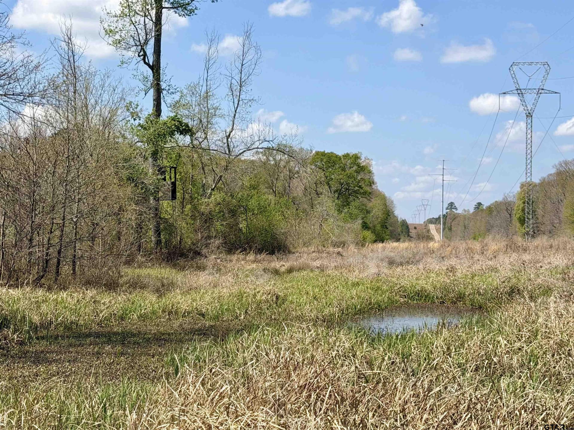 159.7 acres in Harrison County - photo 28