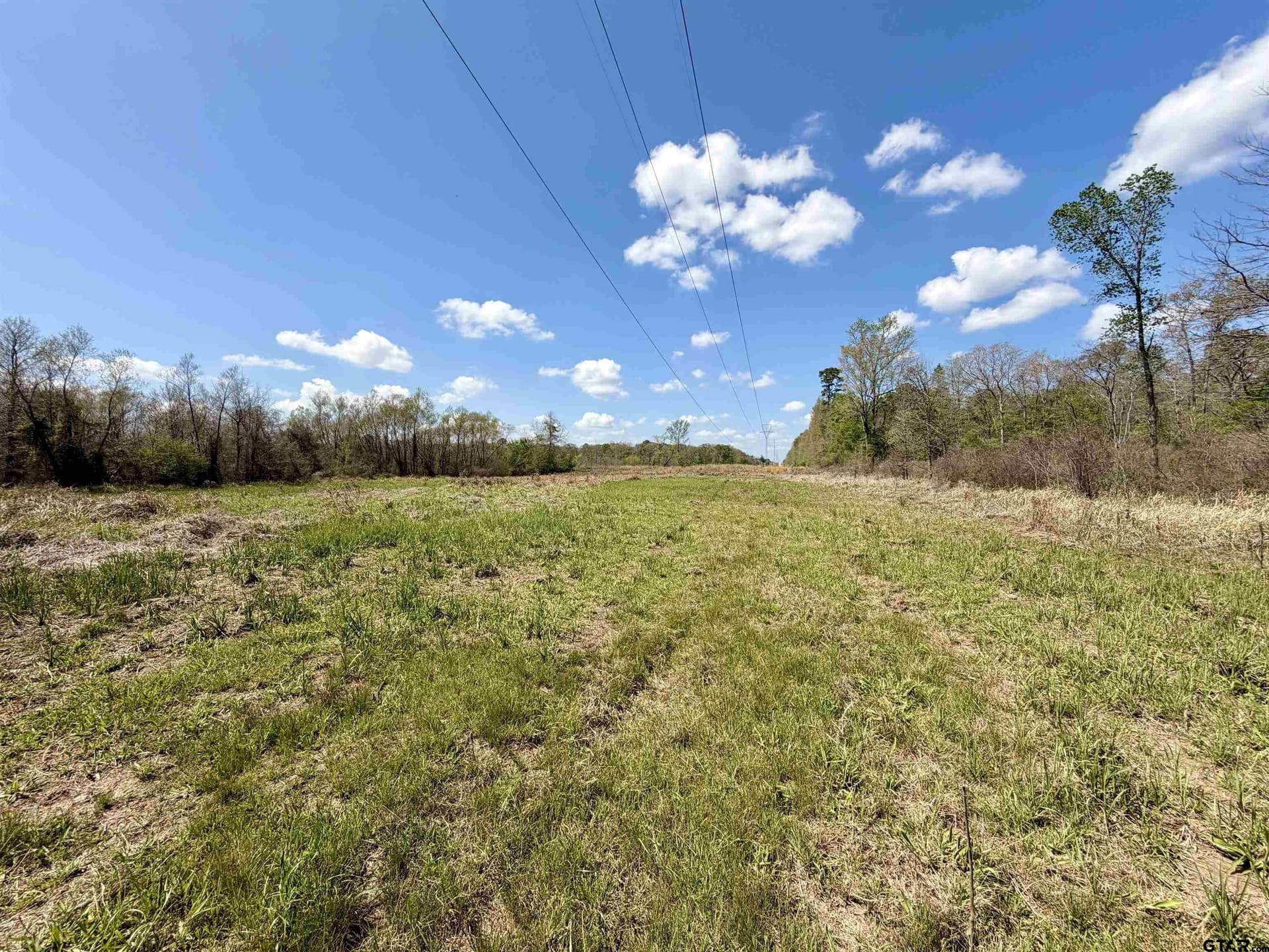 159.7 acres in Harrison County - photo 26
