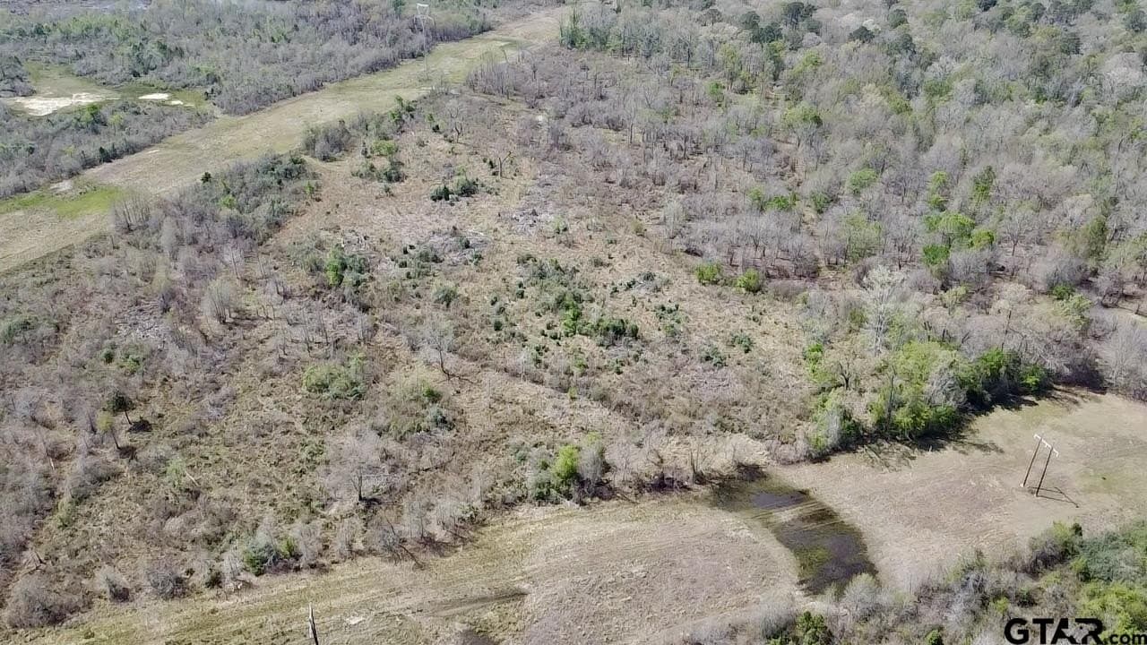 159.7 acres in Harrison County - photo 10