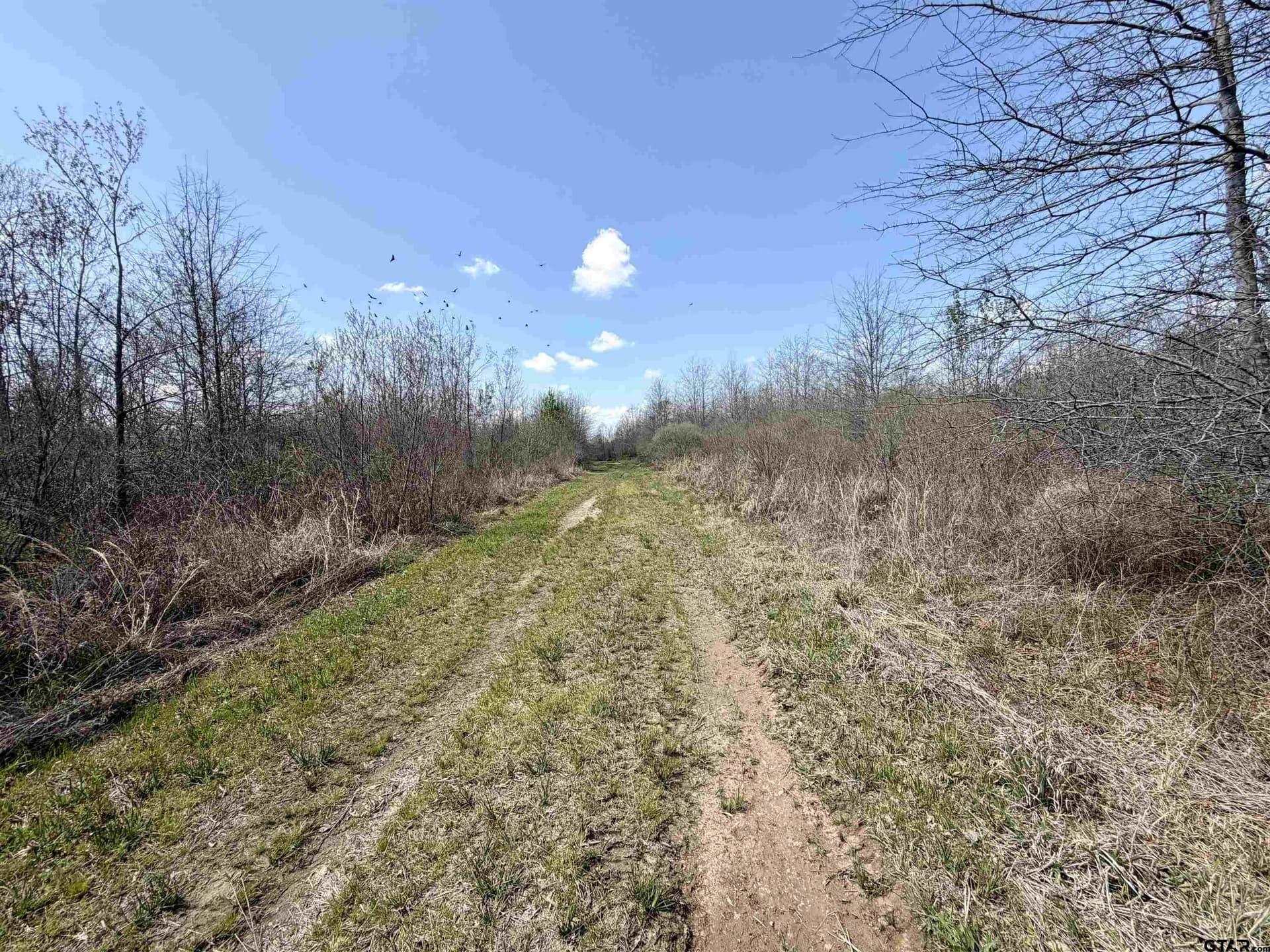 159.7 acres in Harrison County - photo 23