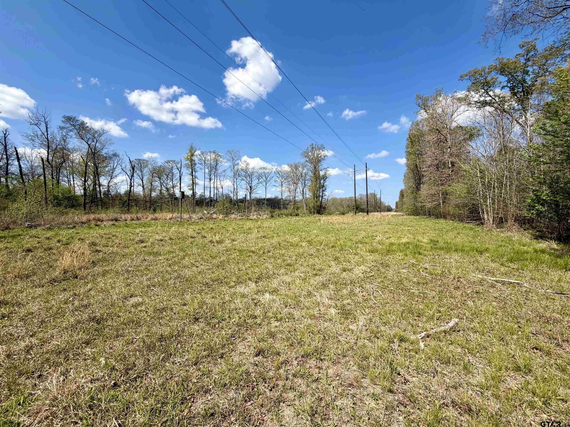 159.7 acres in Harrison County - photo 33