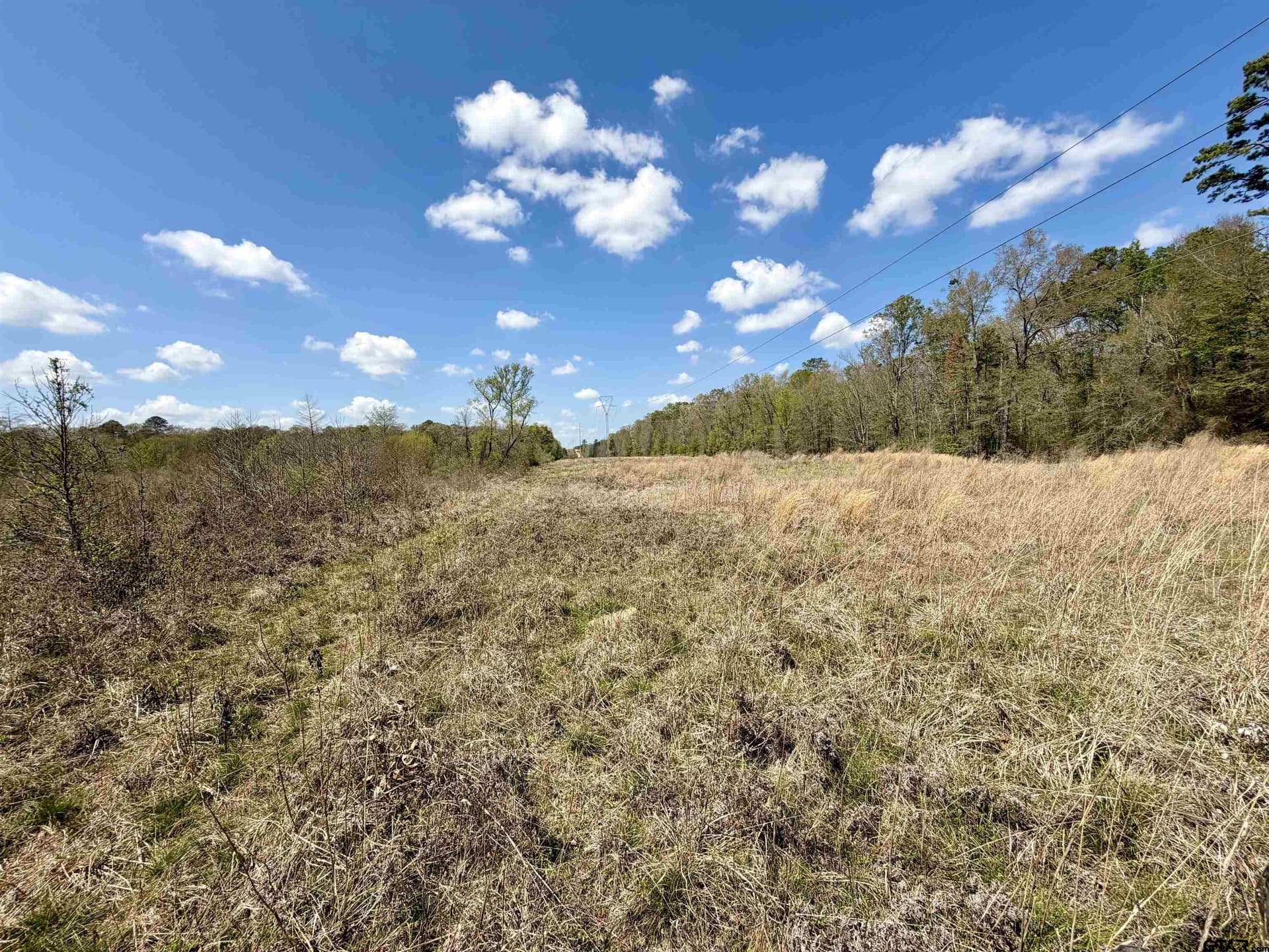 159.7 acres in Harrison County - photo 27