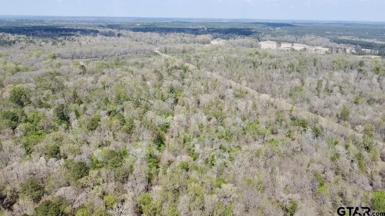 159.7 acres in Harrison County - photo 12