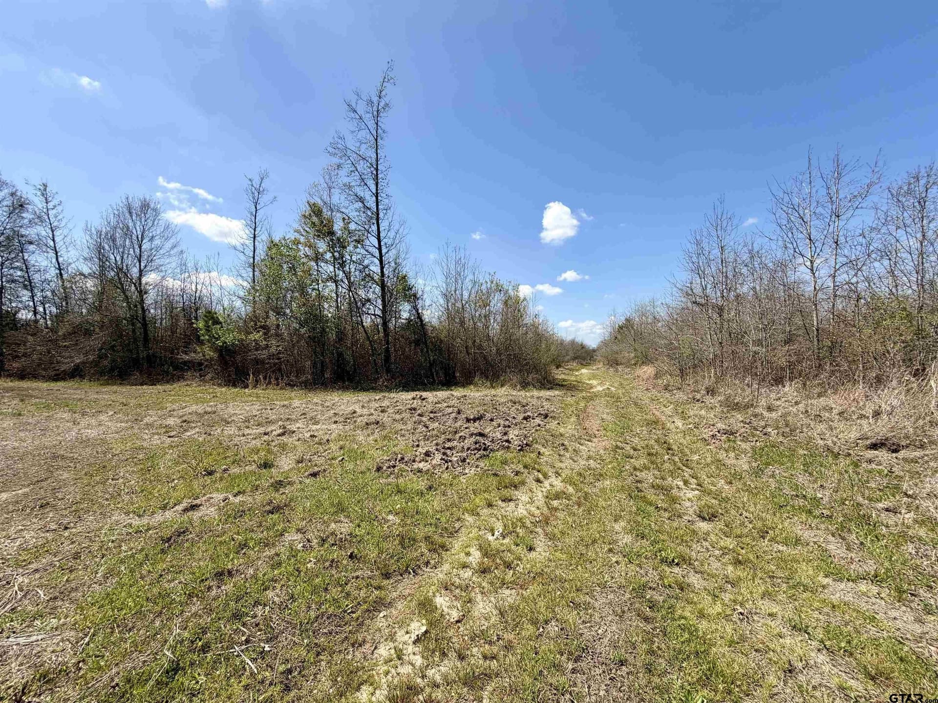 159.7 acres in Harrison County - photo 22