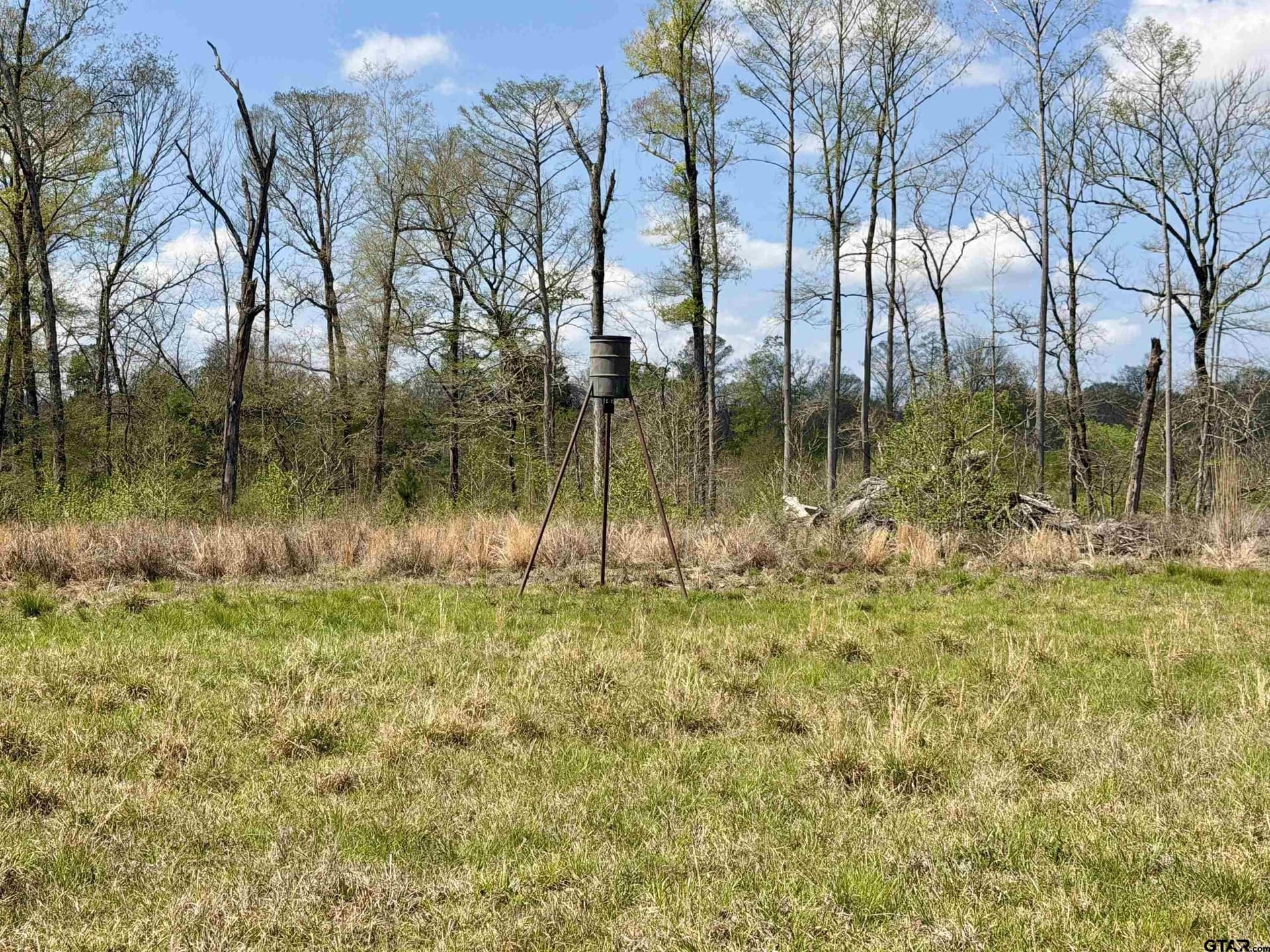 159.7 acres in Harrison County - photo 34