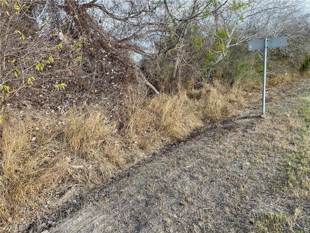 1.5 acres in Live Oak County