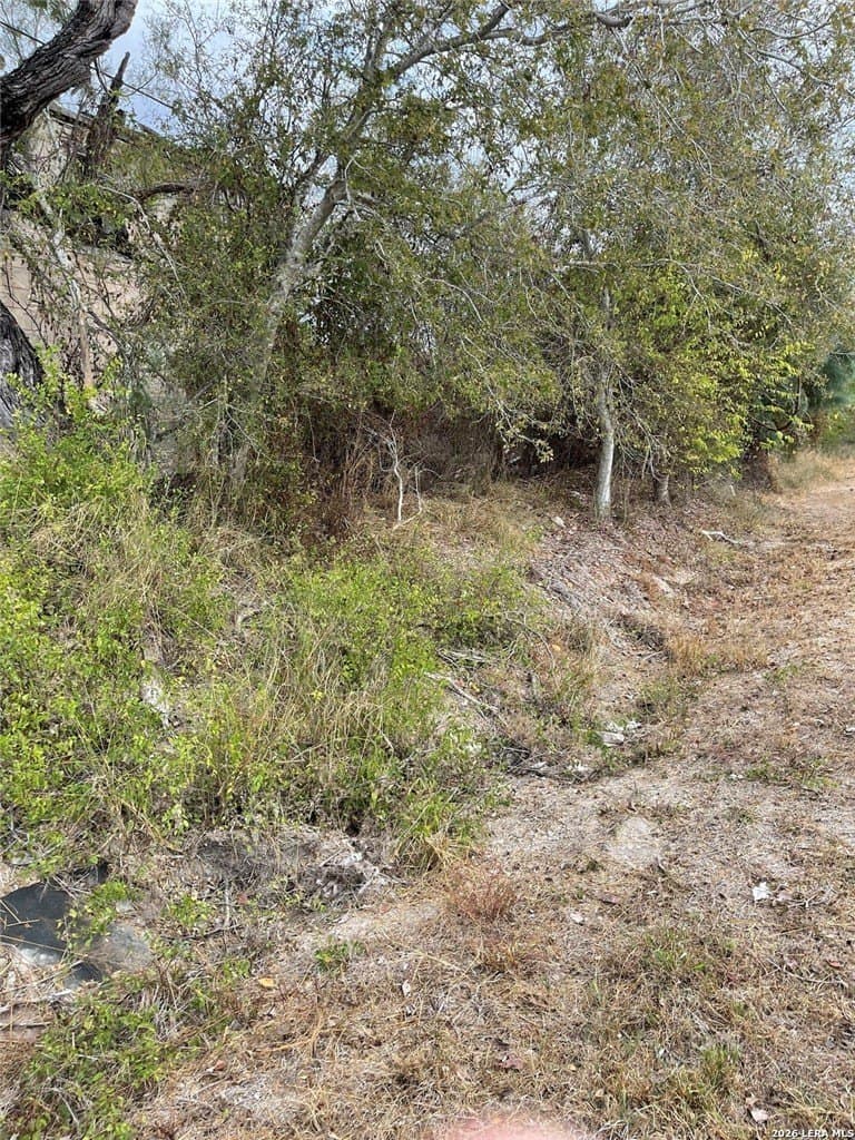 1.5 acres in Live Oak County - photo 2