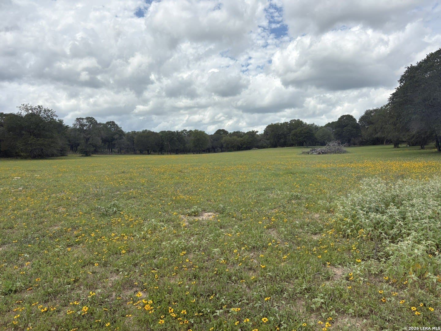 3.55 acres in Gonzales County - photo 6