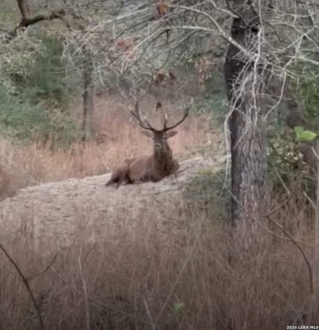 3.55 acres in Gonzales County - photo 12