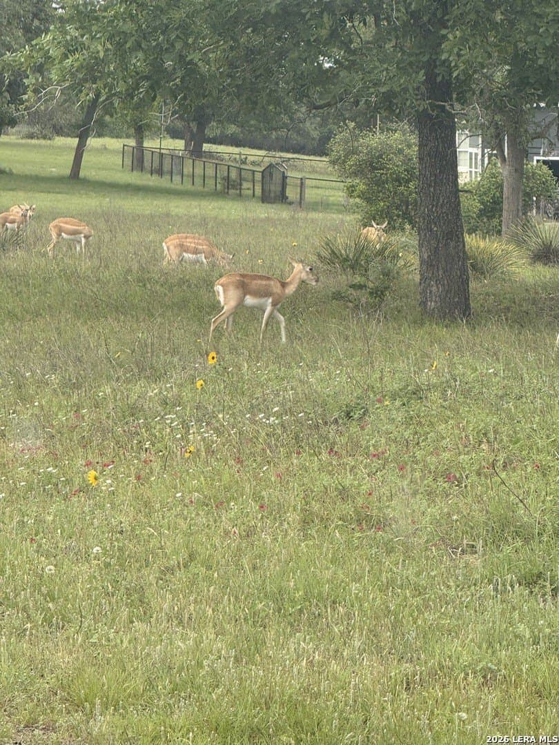 3.55 acres in Gonzales County - photo 10