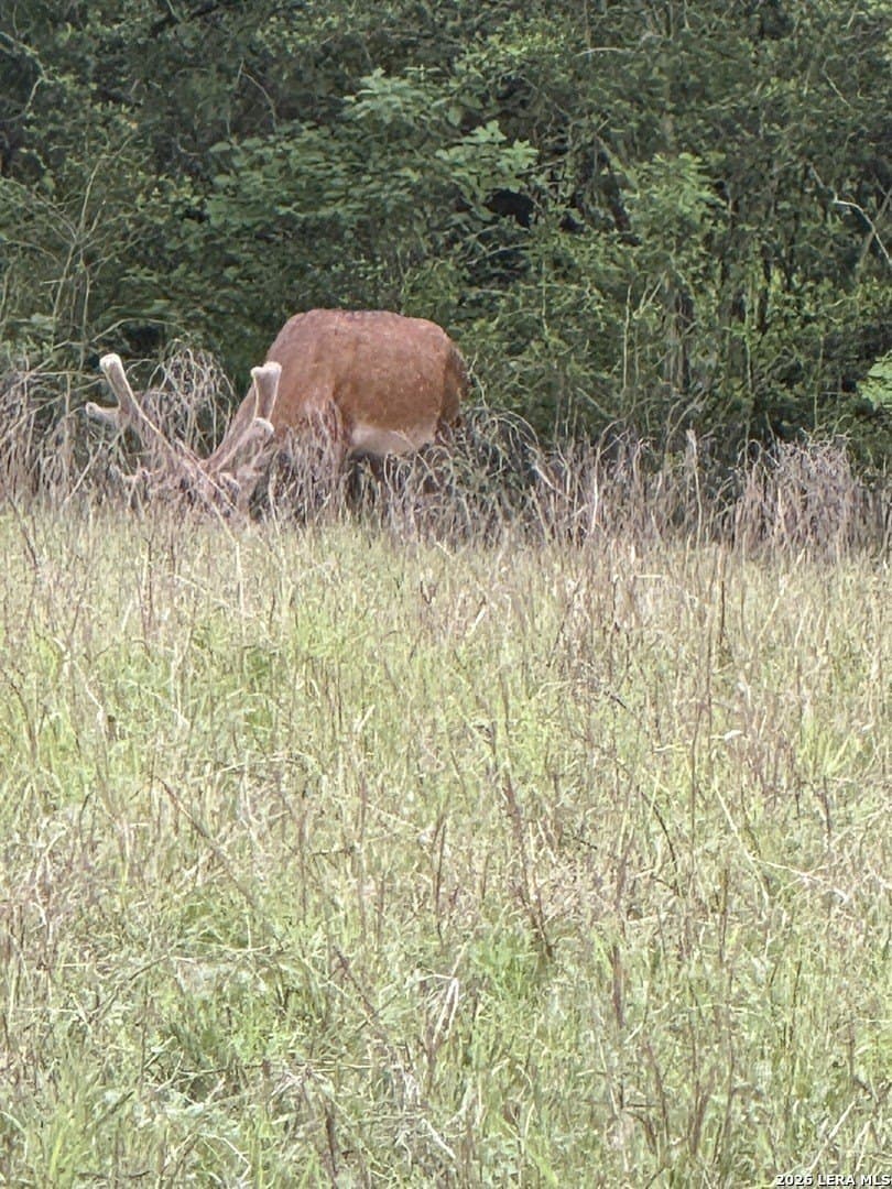 3.55 acres in Gonzales County - photo 11