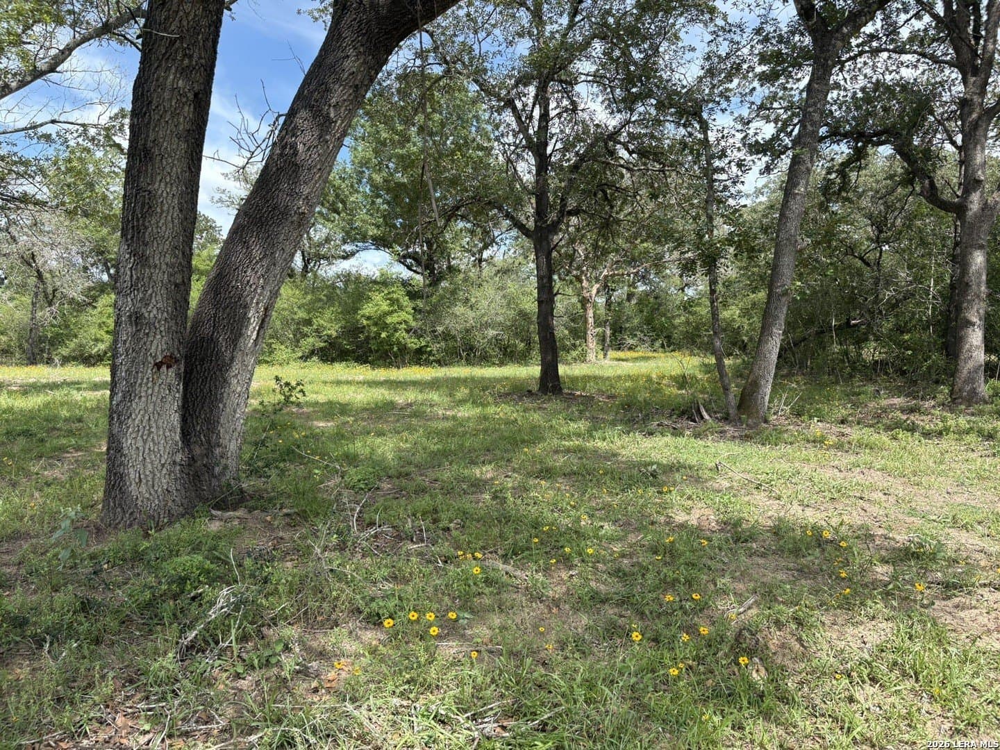 3.55 acres in Gonzales County