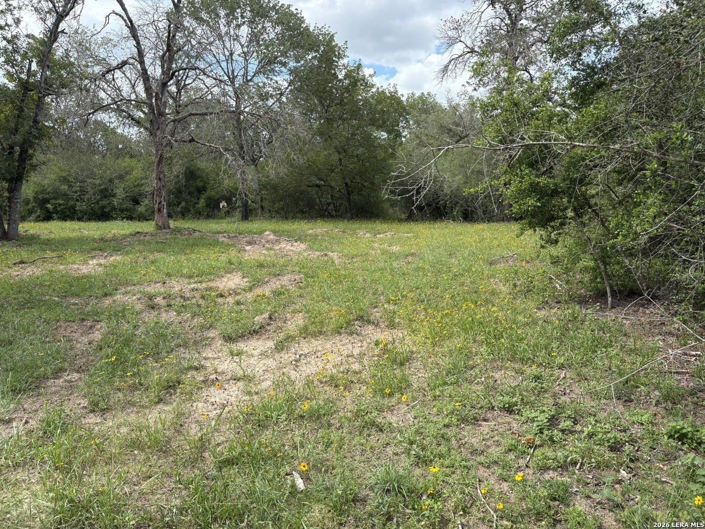 3.55 acres in Gonzales County - photo 7
