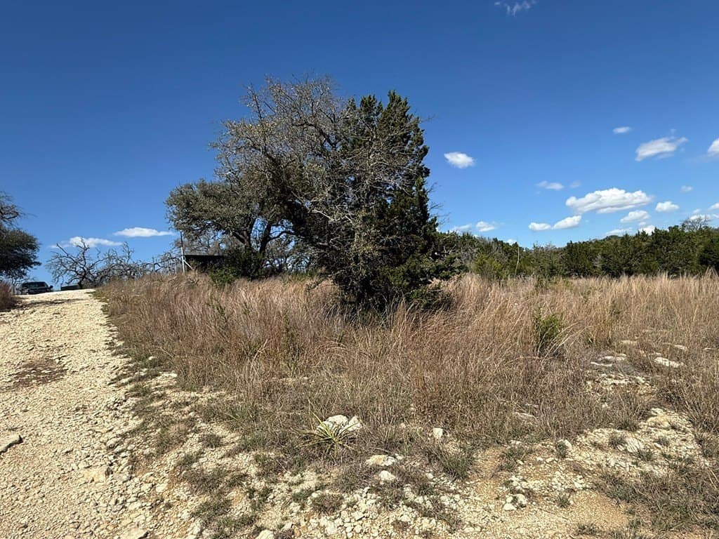 5 acres in Blanco County - photo 8